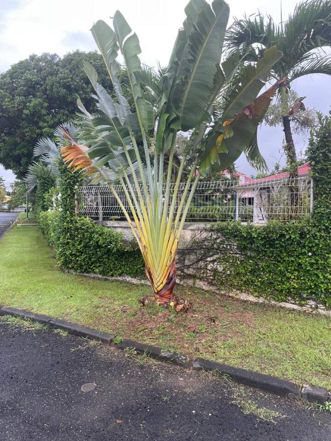 Bluepalm Case Petit-Bourg Luaran gambar